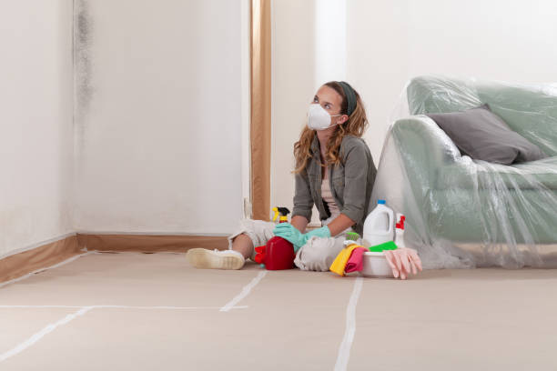 Reliable Basement Mold Remediation contractor in Yorktown, TX by Mold Remediation HQ